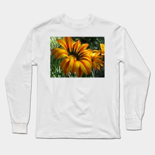 Gazania 10 Long Sleeve T-Shirt